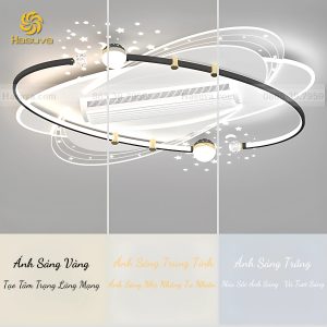quat-tran-co-den
